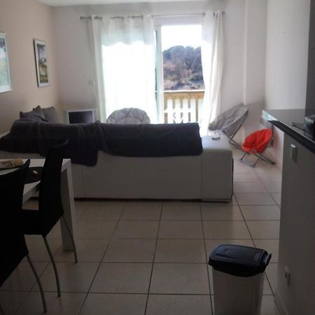 Chambre Grand Appartement Perpignano Esterno foto